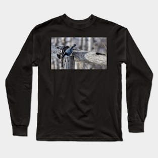 White Breasted Nuthatch. Long Sleeve T-Shirt